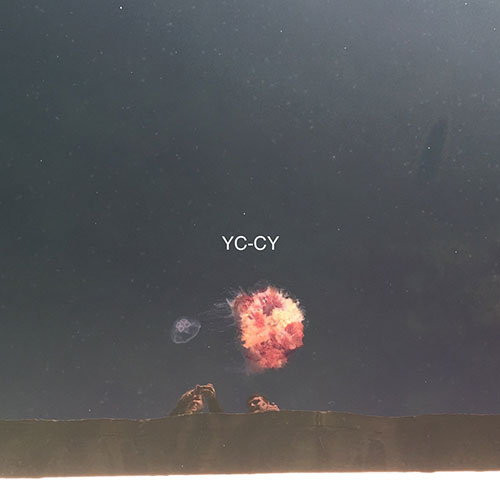 YC-CY: Todestanz LP